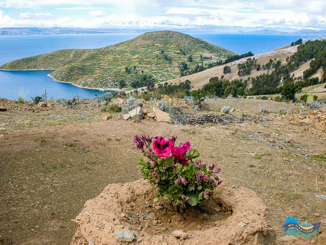 Isla del Sol - Paisagens Isla del Sol - Paisagens