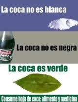 coca