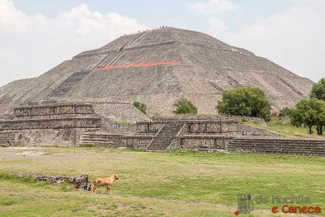 A Pirámide del Sol e o perro observador de pirâmides. Teotihuacan