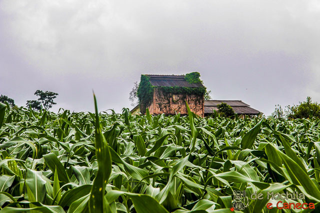 Belo visual pelo caminho até a cachoeira. 