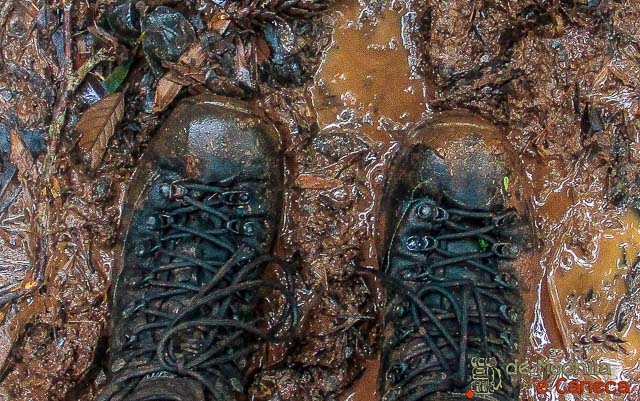 Trilha em dia de chuva, diversão garantida!