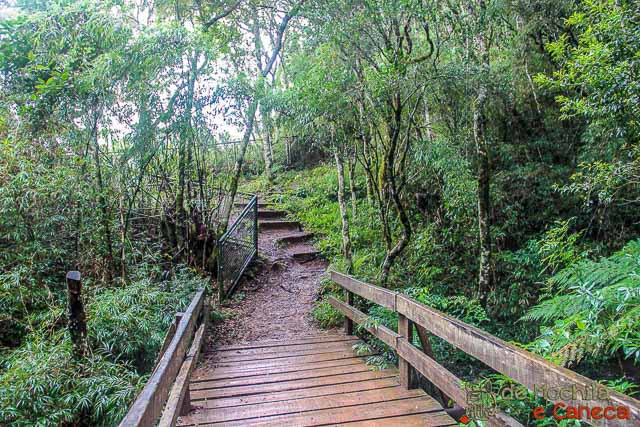 Trilha superior Salto São Francisco. Trilha superior Salto São Francisco.