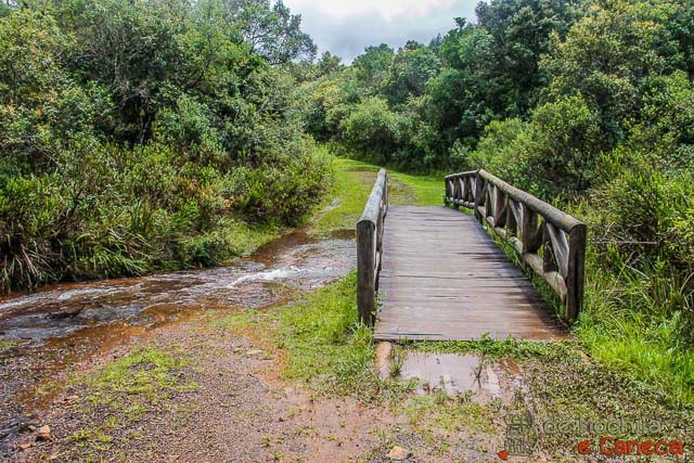 Ponte sobre o córrego. Ponte sobre o córrego.