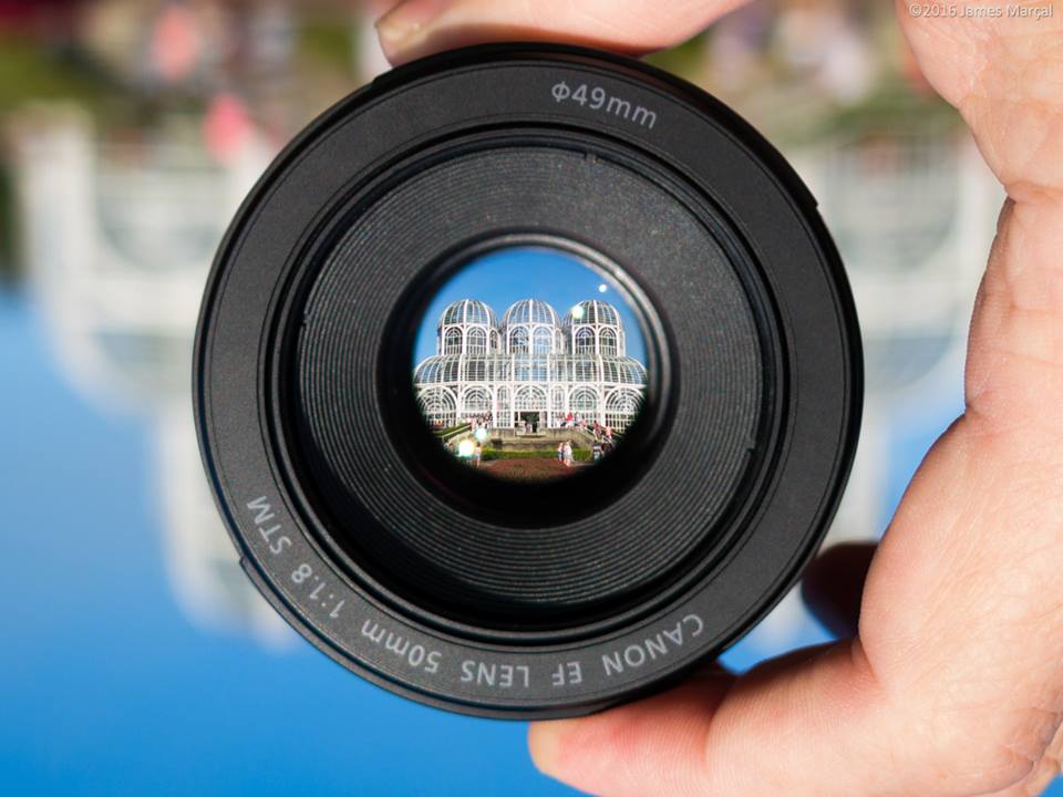 Curitiba 323 - Jardim Botânico James Marçal - Jardim Botânico