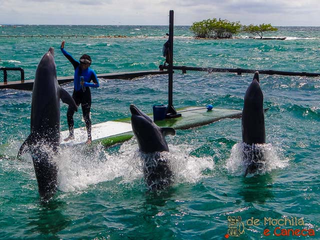 Oceanario Islas del Rosário
