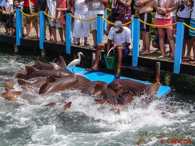 Islas del Rosário-Tubarões