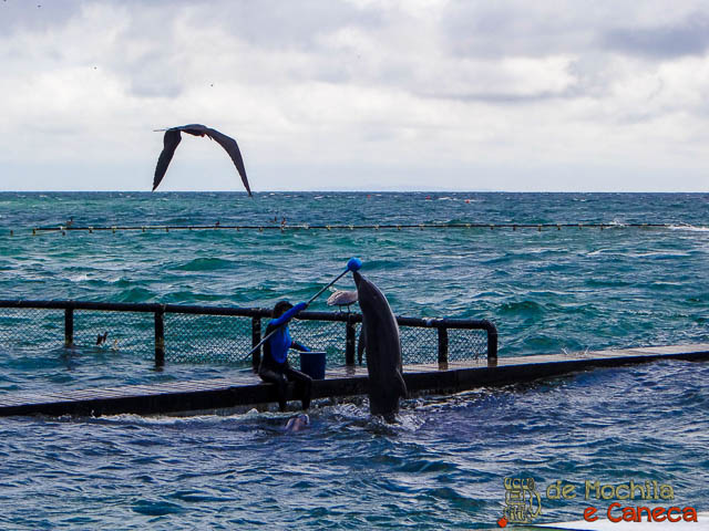Oceanário Islas del Rosário 
