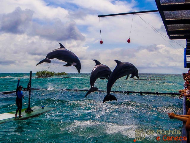 Islas del Rosário-16