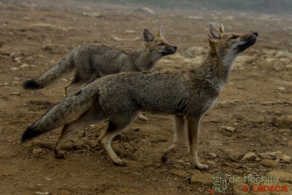 Canions_Cânions da América do Sul