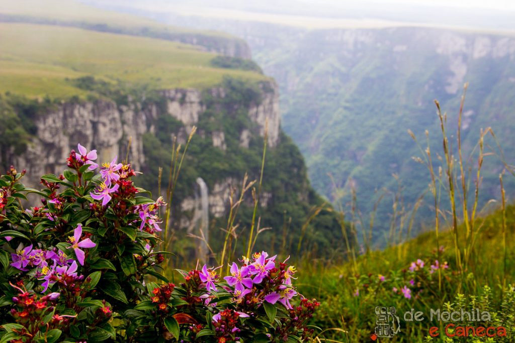 Cânions da América do Sul