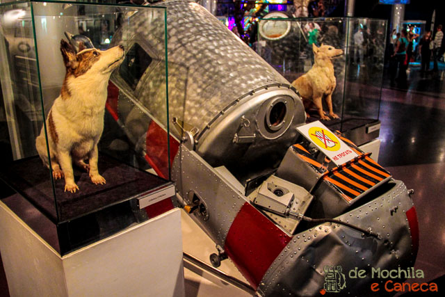 Museu da Cosmonáutica - Belka e Strelka.