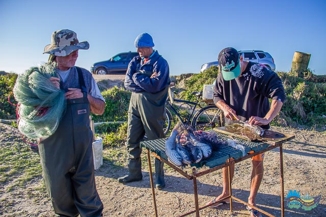 Peixe fresco de verdade.