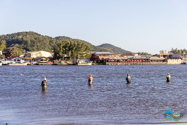 Pescadores esperam o "sinal" do boto que está cercando os peixes.