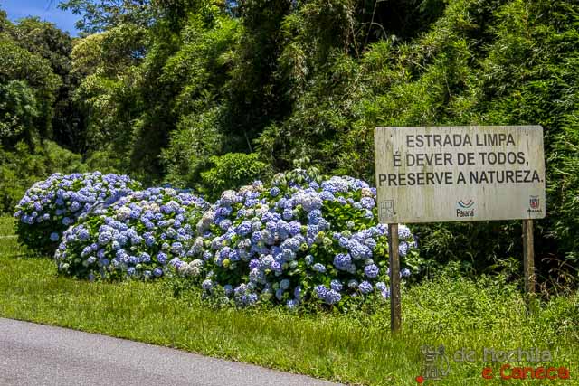 Preserve a Serra da Graciosa estrada-da-graciosa-