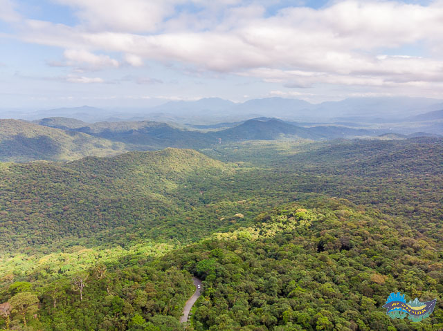 Mata Atlântica - Serra da Graciosa