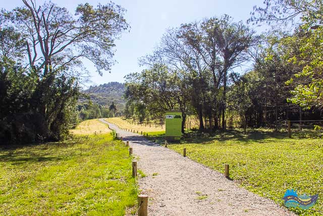 Caminho revitalizado.