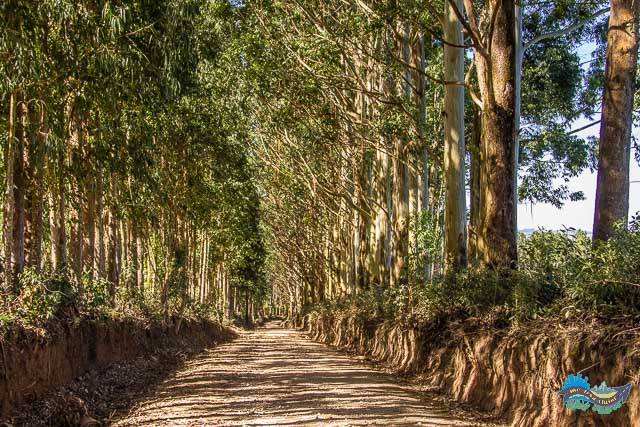 Estrada que dá acesso ao Buraco do padre.