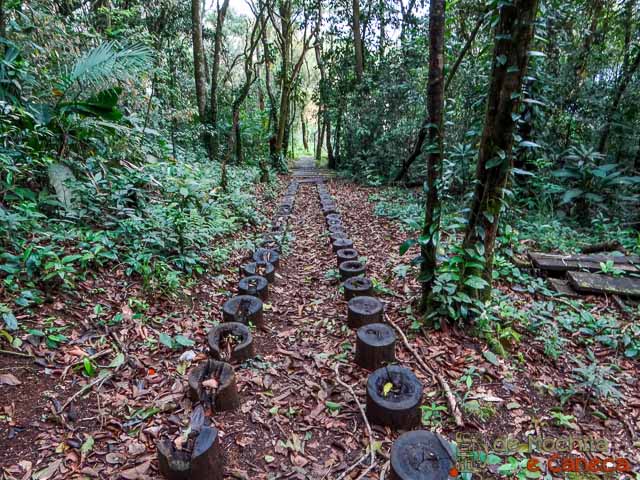 guaraquecaba-Morro do Quitumbe