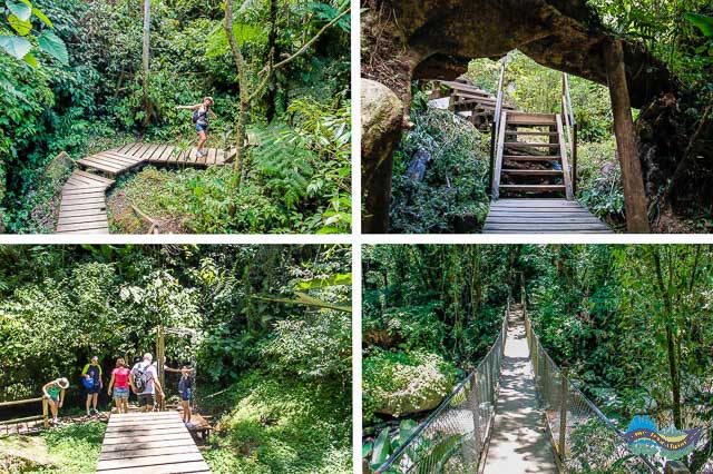 Trilha com escadas, pontes e passarelas. 