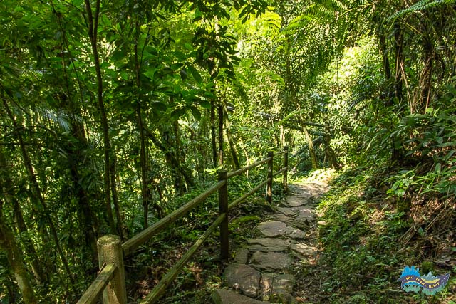 Rota das Cachoeiras - Trilha Passa águas