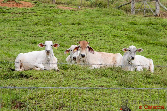 Rota do Enxaimel - Pomerode-24