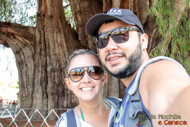 Árvore de Tule Árvore de Tule