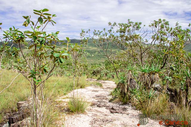 Trilha dos Saltos. Chapada dos Veadeiros trilha dos Saltos