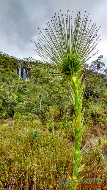 Chapada dos Veadeiros natureza - Goiás.