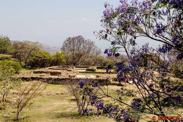 Tumba 105. Monte Albán-Tumba 105.