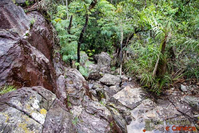 Parque Nacional da Chapada dos Veadeiros-Trilha