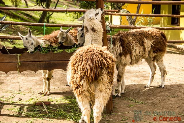 Metade do mundo-Quito - Ciudad Mitad del Mundo