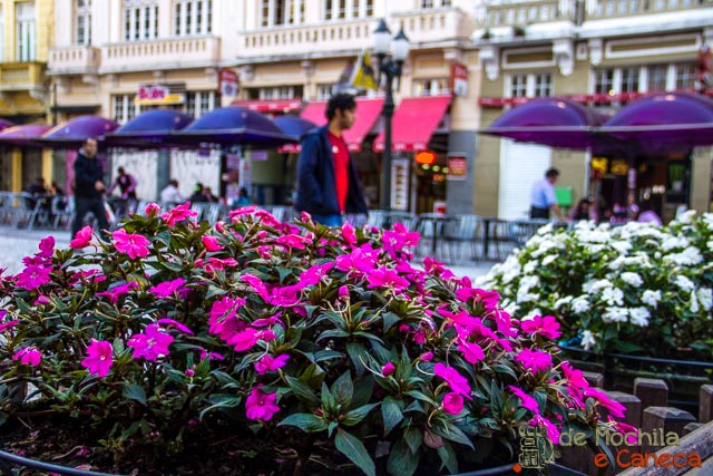 atrativos imperdíveis de Curitiba-Rua das Flores- turismo