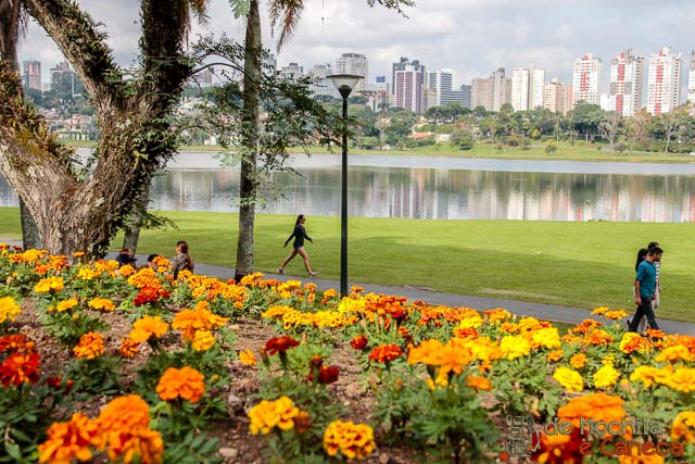 atrativos imperdíveis de Curitiba-Parque barigui