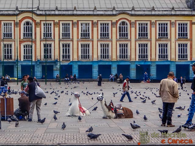 Pombos e lhamas na Plaza Bolivar. 