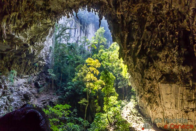 Caverna Teminina. Jardim Suspenso - Teminina I