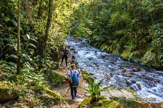 Núcleo Santana-Trilha do Betari