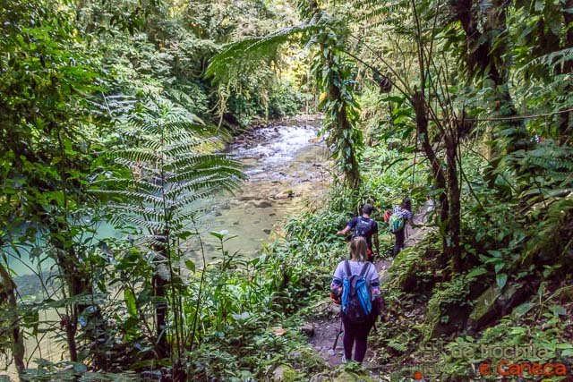 Núcleo Santana-Trilha do Betari