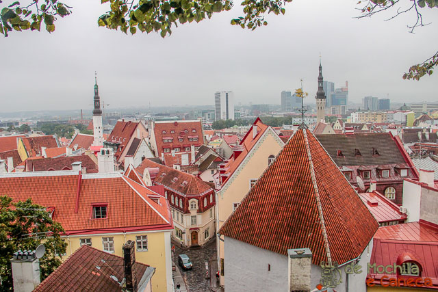 Vista a partir de um dos mirantes em Toompea. Centro Histórico de Tallinn-Mirante-Talin