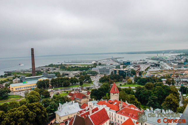 Golfo da Finlândia. Centro Histórico de Tallinn-35