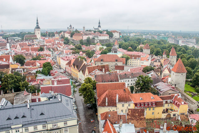 Vanalinn vista do alto da torre da Igreja Centro Histórico de Tallinn-37