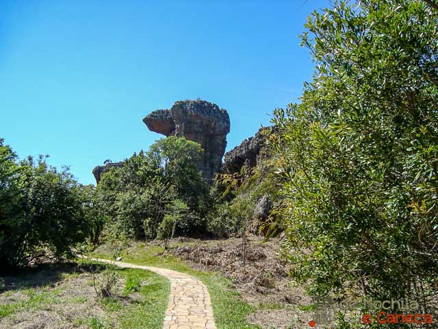 Parque Estadual de Vila Velha-Camelo