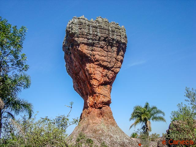 Taça - Ponta Grossa