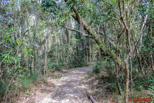 Trilhas em Ponta Grossa