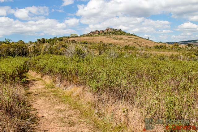 Trilha em Ponta Grossa