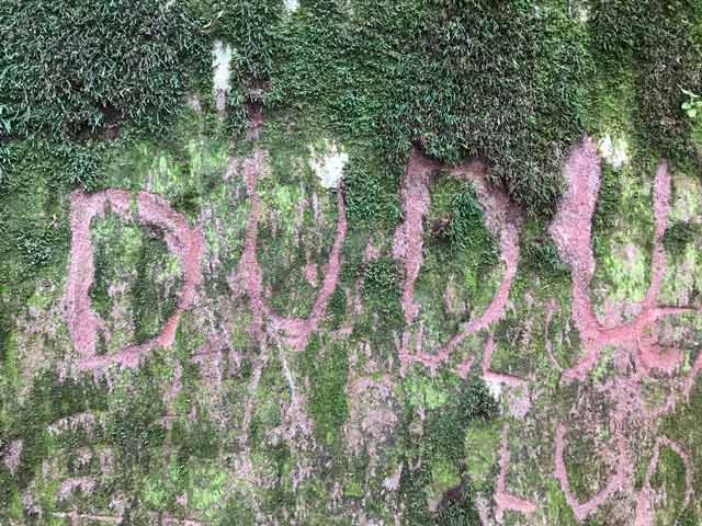 vilavelha - vandalismo