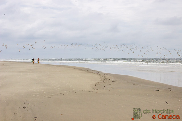 Ilha de Superagui-Praia deserta