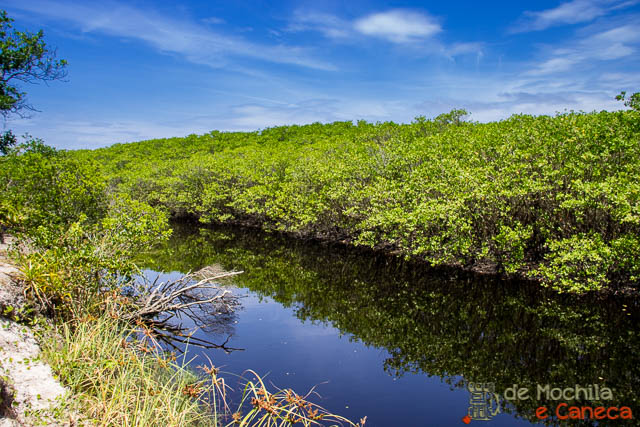 Ilha de Superagui-Mangue