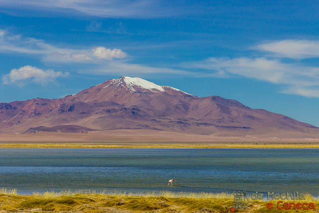 Laguna de Tara. Roteiro de 11 dias no Chile - Laguna de Tara.