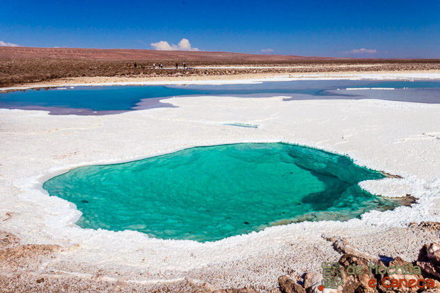 Lagunas Escondidas. Roteiro de 11 dias no Chile - Atacama Lagunas Escondidas