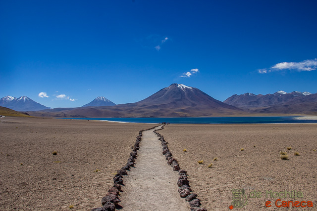 Laguna Miscanti. Roteiro de 11 dias no Chile - LagunaMiscanti